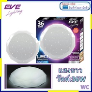 โคมซาลาเปา LED EVE SPHERE 36W LIGHTING รุ่นกาแลคซี่ EVE โคมซาลาเปาLED พร้อมหลอด36วัตต์ รุ่นSPHERE EVE LIGHTING