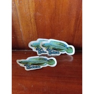 Channa Snakehead Barca Aquarium Sticker