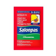 Salonpas Hot Patch 5x2 Sheets