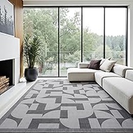ThreadGlobe Area Rugs for Living Room, Geometric Faux Wool 6x9 Area Rugs, Soft Stain-Resistant Washa