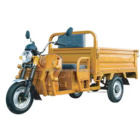 Factory Direct Hot Sale 3 Wheel Electric Tricycles Adult Tricycle Electric Tricycle Electric Bike