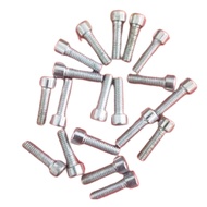 Stainless Steel L Bolt M6 x 20 mm