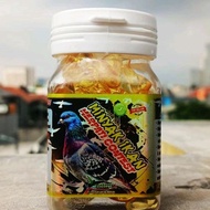 New Merpati Kontes Minyak Ikan Omega 3 isi 100 kapsul Untuk kesehatan dan Performa Burung Merpati