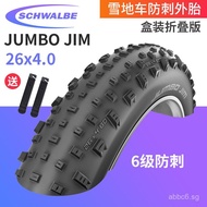 SCHWALBE World JUMBO JIM 26Inch Fat Tire Bike Snow Bike Beach Bike Folding Outer Tire26x4.0