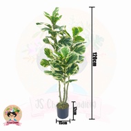 🔥READY STOCK🔥Fiddle Fig Artificial Plant Premium Quality 🔥Pokok Fiddle Fig Hiasan House Office Schoo