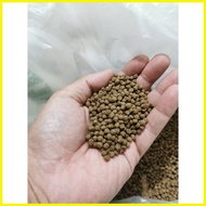 ㍿ ◵ ✓ Tateh Aquafeeds Surfer Finisher 1kg Tilapia Catfish (Hito) Milkfish Koi Feeds Floating Pellet