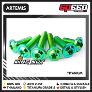 New!! Titanium Brake Fluid Master Bolt 160 Grade 5 King Nut