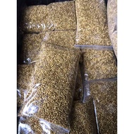 Slow release fertilizer [osmocote] baja keladi
