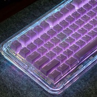 Purple Jelly Keycaps OEM Profile 136 Keys PC PBT Letter Light Transmission Wooting Aula F75 Alice Me