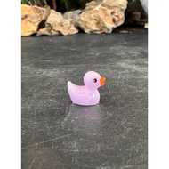 Terrarium figurine(duck)