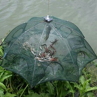 Bagua cage traps fish, eels, shrimp, crabs, and trach with quality 102 cans of areca 24h 8hd7dgdj