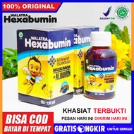 Obat Ngompol anak obat anti ngompol depol Obat Deepol Anti Ngompol Alami obat herbal stop ngompol Ma