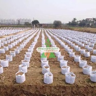 Bộ 20 Túi Trồng Cây 2 Quai (Φ30 X H25)