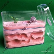 D Castle Ant Nest 9RZF