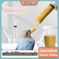 ที่ป้อนอาหารนก ช้อนป้อนอาหารลูกนก เครื่องมือให้อาหารนกแก้ว ไซริ้งค์ป้อนอาหาร 1 ชุด มี 3 ชิ้น ลูกนกป้อน