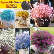 200pcs/pack Rare Colorful Gypsophila Flower Seeds for Planting Flowers Benih Pokok Bunga Balcony Garden Potted Bonsai
