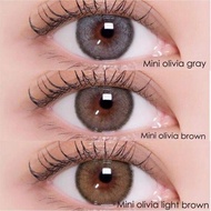 คอนแทคเลนส์(มินิ) Mini Olivia Brown / Light Brown / Gray (Kitty Kawaii) ⭐️ลายฮิต ขายดีมาก กรองแสงกัน