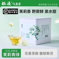 Jibian Jasmine Green Jasmine Fragrant Cold Brew Tea Jasmine Tea Seasonal New Mellow Brew-Resistant S