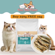 YUM YUM PAWS PET BOOSTER 275g FREEZE DRIED CAPELIN WITH EGG BOOSTER GEMUK IKAN SHISHAMO CAT DOG TREA