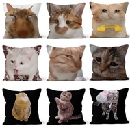 Cat meme Emoticon Pack Pillow Bedroom Bedside Pillow Lumbar Pillow Living Room Back Pillow Office Pi