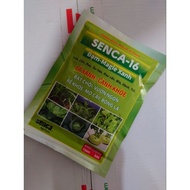 Senca-16 Protein-Magnesium Fertilizer Green Leaves - Healthy Branches
