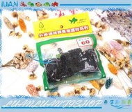 【魚店亂亂賣】60型外掛過濾器吸入口生化棉-小型(4入)防小魚吸入(AZOO.Alife.五味.雅柏)150型
