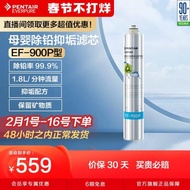 愛惠浦everpure凈水器濾芯凈水機耗材自來水過濾器配件EF-900P