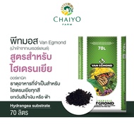 Peat Moss hydrangea (Imported From Netherlands) Van Egmond substrate 70L