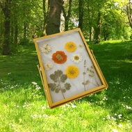 春日浪漫 乾燥花相框 | 壓花 乾燥花 相框 純手工 客製禮物