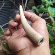 Pipa rokok kayu dewandaru asli pipa roko cangklong murah pipa roko dewandaru 12cm