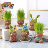 Anak lelaki comel bermata besar✨Penanaman rumput hijau anak patung kepala rumput✨Tumbuh-tumbuhan rum