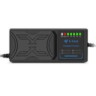 48V50AH Electric vehicle charger reverse connection protection, automatic shutdown upon full charge,