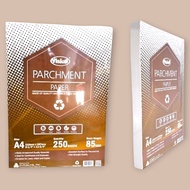 Vision Parchment Paper 85 GSM A4- 250 Sheets