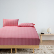 Premium Cotton Fitted Bedsheet Stripe Cadar Single Queen King Size Bedding Set 2in1 4in1 Getah Kelil