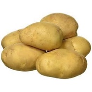 1kg Ubi Kentang Segar