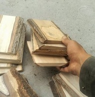 鹿角蕨綠植輔材板植料植板木料替代蛇木老桐木