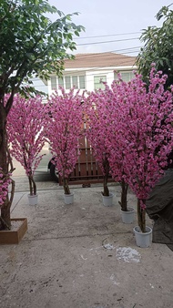 ต้นซากุระดอกไม้ประดิษฐ์ สีชมพู150ซม. พร้อมกระถางพลาสติกสีขาว