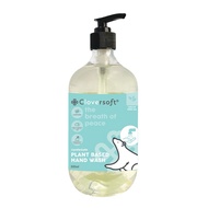 Cloversoft Plant-Based 99.99% Antibacterial Gel Hand Wash 500ml (White Tea)
