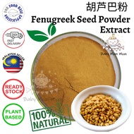 Fenugreek Seed Powder Extract | 胡芦巴提取物粉 - Fenugreek Seeds