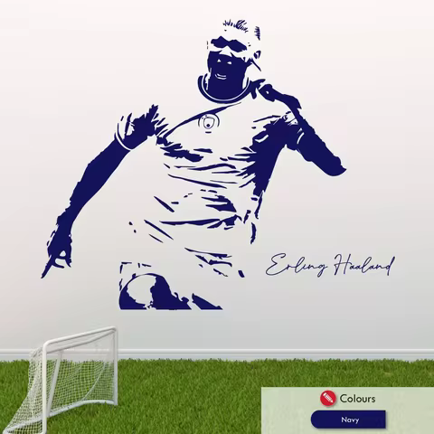 Erling Haaland football soccer self-adhesive removable Wall Sticker Art Decal Mural Decor