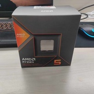 Ryzen 5 8600G