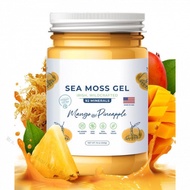 Seaweed Gel Sea Moss Gel 450g Mango Pineapple Flavor 450g