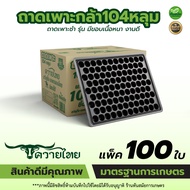 (ยกลัง 100ใบ) ถาดเพาะ ขนาด 104หลุม / 105หลุม ตรา TPK ถาดเพาะกล้า หนา  ทนทาน ใช้เพาะปลูกได้หลายรุ่น เ