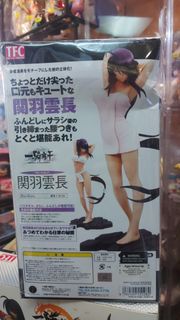 TFC 一騎當千 關羽雲長 Figure k015