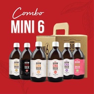 [PROBIOTICS / HALAL] 1980 BOOM CHA BREW KOMBUCHA Combo Mini 6 (6 x 180ML)