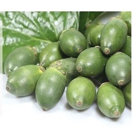 Hainan from 100g Betel Nut Raw Betel Nut Freshly Picked Fresh Betel Nut Bulk Raw Betel Nut Leaf Shel