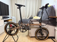 Fnhon Gust 16吋 改 2x10速摺車，349大輪和快拆腳踏(擺多过踩)