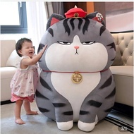 King cat teddy bear, noble cat teddy bear, giant cat teddy bear