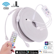 12V LED Neon Strip Light RGB Waterproof Silicone Rope Lights Tape Dimmable Decor Wifi Bluetooth APP 