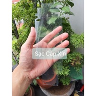 Genuine Note 20 Ultra/ Note10+ / S10+ UV screen protector